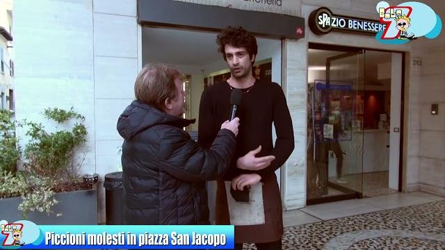 Bobo7, invasione di piccioni nel centro storico - e4v91XP25jc