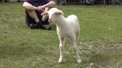 Agripunk a rischio sfratto, la petizione online ha già raccolto oltre 1000 firme - -kD9cQFKlqY