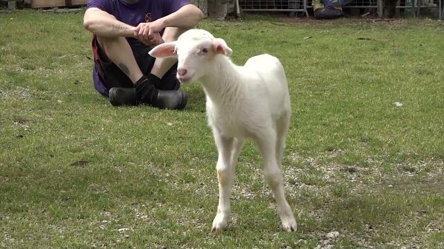 Agripunk a rischio sfratto, la petizione online ha già raccolto oltre 1000 firme - -kD9cQFKlqY