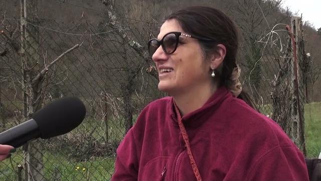 Legata e picchiata dai ladri in casa: secondo la procura si è inventata tutto - CNsPCyrg43E