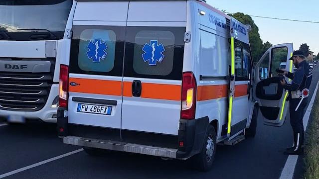 In scooter investe lupo a Arezzo: morto animale, centauro ferito - JdXznnEYa0E