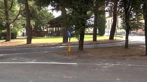 Lupo avvistato tra le casa a San Leo, cresce la preoccupazione - QH7DGz8zOgc
