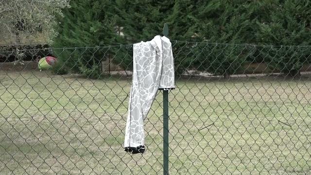 Travolta ed uccisa a Pozzo della Chiana, aperto fascicolo per omicidio stradale aggravato dalla fuga