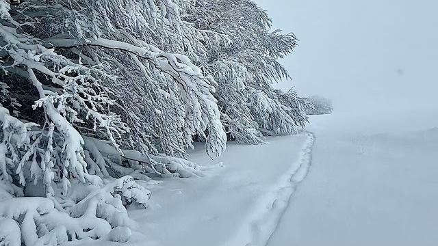 Neve sui rilievi dell'Aretino. Ecco le rilevazioni di Arezzo Meteo - WgLALPRWH3g