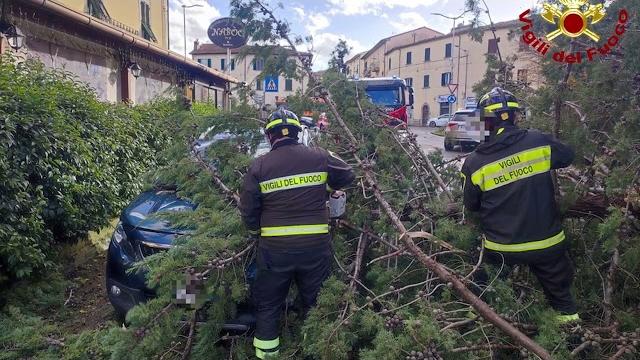 Freddo, grandine e vento nell'Aretino. Albero cade addosso ad auto, salvo il conducente - _eKfaPpB2xg