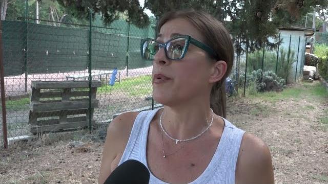 Arezzo, da San Leo la richiesta di aiuto per le colonie feline