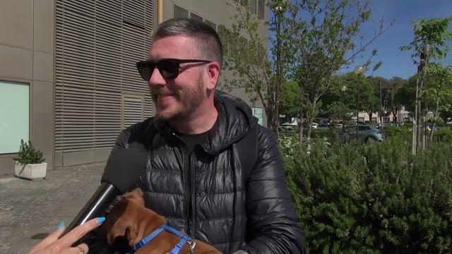 Cagnolino ucciso, la Procura chiede l’archiviazione. Il proprietario: “avanti per Choco”