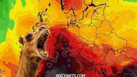 Caldo record, tocchermo i 40°. Parla l'esperto di Arezzo Meteo - ftBnxbCU0lk