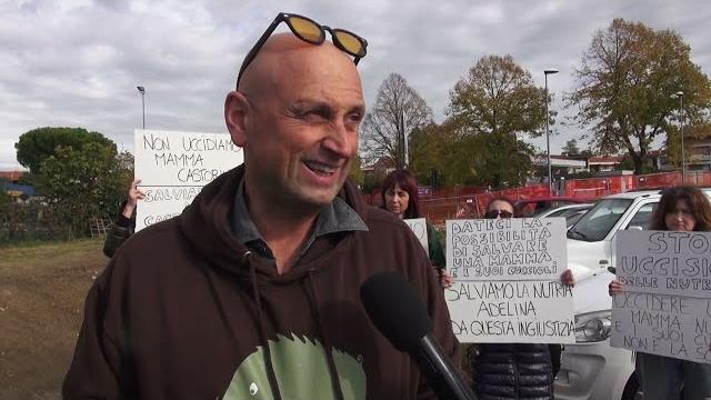 “Salviamo le nutrie di via Romana”, l'appello di associazioni e cittadini - gDRnWU25qMc