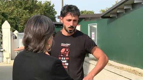 Lupi feriti ed uccisi nell'Aretino, la denuncia di Enpa - ivCCuxlsldM
