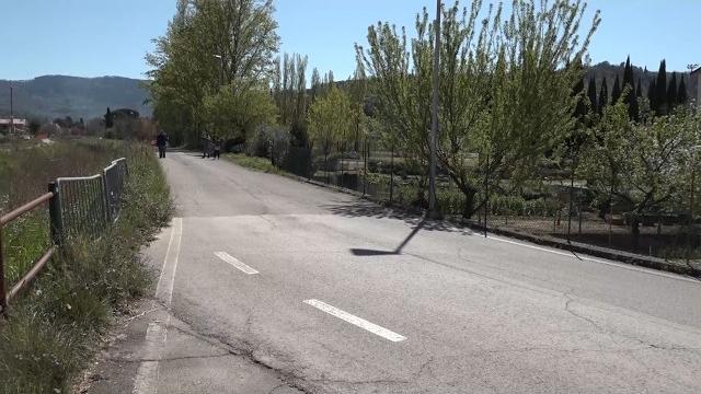 Cane travolto e ucciso ad Arezzo: individuata l’auto. “In corso approfondimenti investigativi”