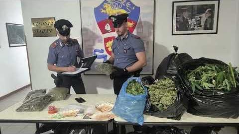 Coltivano marijuana nel giardino condominiale: arrestati dai carabinieri - utldD-_CoFg