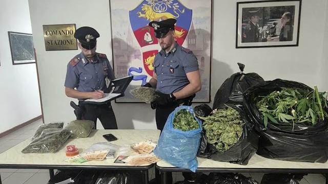 Coltivano marijuana nel giardino condominiale: arrestati dai carabinieri
