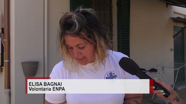 Bubu, il cane di Tiziano Birra, accolto al canile. Enpa: “sta bene, per lui adozione consapevole” - 4NFM8TrrTzs