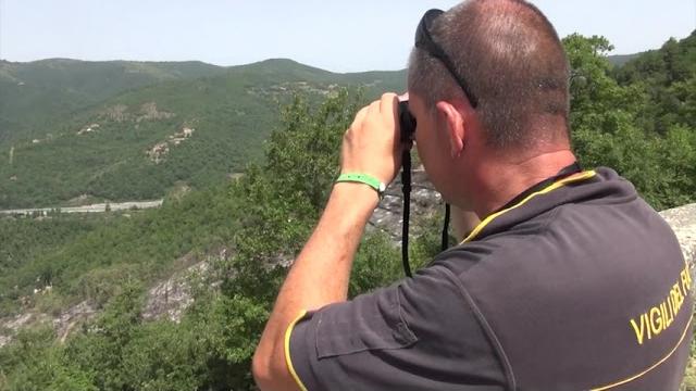 Incendi boschivi, scatta il divieto assoluto di accensione fuochi - 4VjTOkEItxo