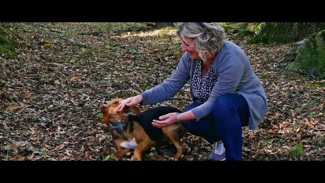 Gli amici a 4 zampe del canile del Casentino protagonisti di un video promozionale - EXSaoQy3aIo