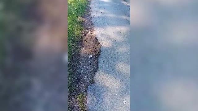 Buche, ancora segnalazioni dal centro storico aretino - EjvRP-QMVuU