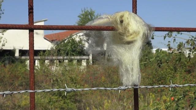 Degrado e pericoli, l'area ex Lebole in consiglio comunale. "in corso trattative per cessione" - FOqACTSrL8U