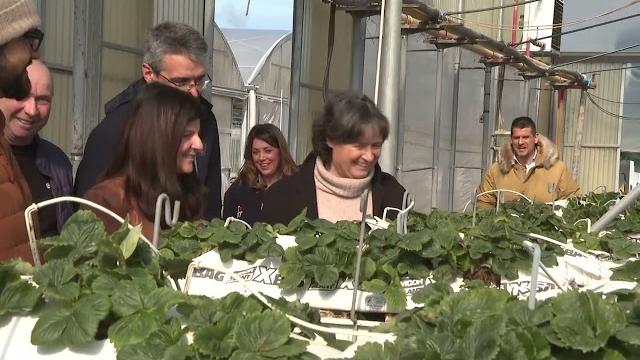 Da Castiglion Fiorentino l’agricoltura guarda dritta a Montedoglio - JSfYjHMgsp4
