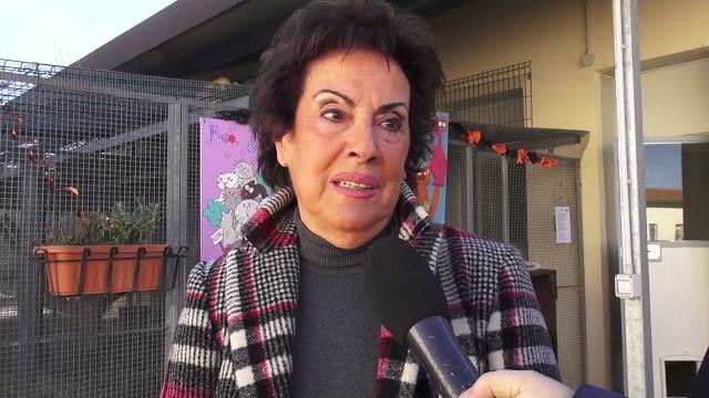 Cibo per i gatti delle colonie feline: la consegna al canile municipale - K4kk6u_5iXo