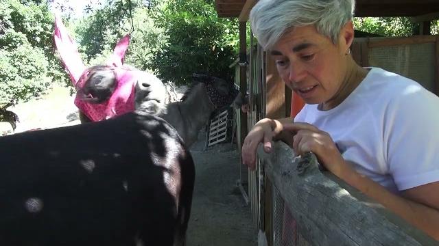 La Fattoria in Cammino, a San Severo un bosco didattico - KrdXNPOVWwA