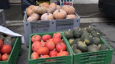 Coldiretti, il km zero di Campagna Amica protagonista in piazza San Jacopo - PI1MbxfCv0E