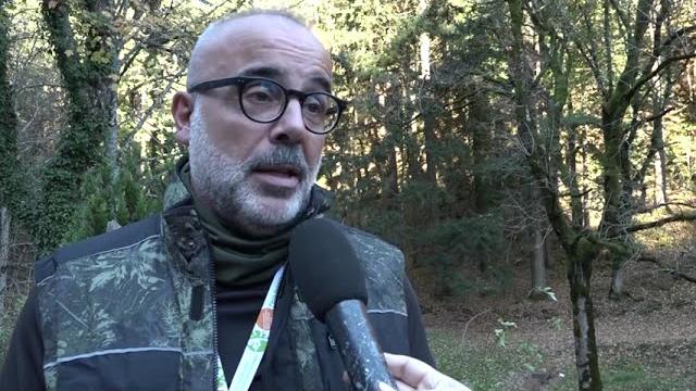 Foreste Casentinesi, tanti turisti. Le guide: "ricordate di avere le scarpe adatte alla montagna" - PdpDs9nRToA