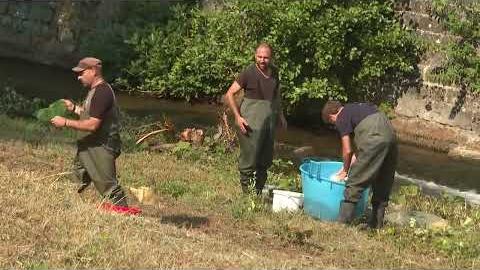 Conclusi i lavori di manutenzione sul torrente Staggia, movimentati circa 300 mc di sedimenti - PrtY7yJgQ6Y