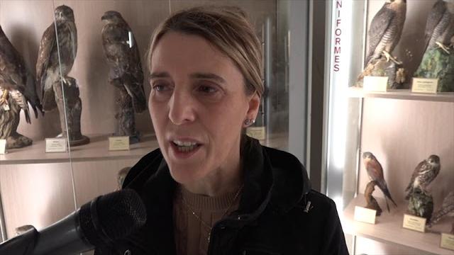 Ciceroni “speciali” al museo della Fauna Selvatica: il progetto “Mettiamoci in Mostra” - QkEUSso9uIM