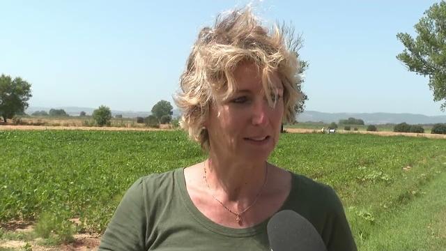 Emergenza climatica: l’ingegneria aerospaziale in soccorso dell’agricoltura - Qw_RfiPsJNI