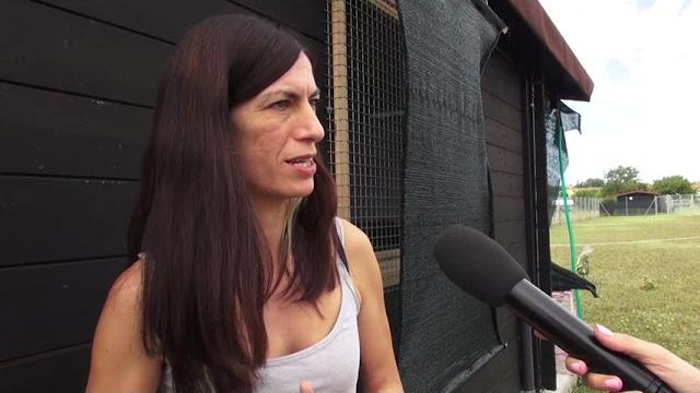 Tutti al mare...ecco la soluzione per gli amici a 4 zampe - YbEMBhBfbvk