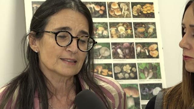 Funghi, il calo delle temperature blocca la crescita. I consigli dei micologi della Asl - b8ruXoRcWMs