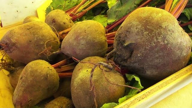 Emergenza caldo in agricoltura, ortaggi e frutta a rischio - beb3B_-5sGg