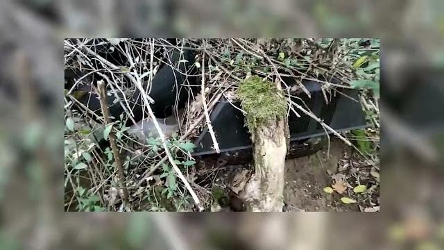 Rifiuti lungo la provinciale della Valdambra, volontari ripuliscono la zona - c7GPdKjjlQ4