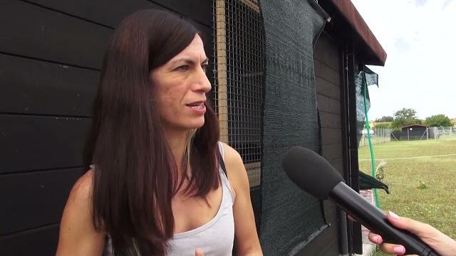 Arezzo, ecco un hotel per i nostri amici gatti - chUPpTii5cM