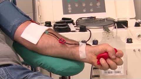 Sangue, l'appello di Avis e Giani: “Anche d'estate donare è un gesto che salva la vita” - eLN6wzrHArM