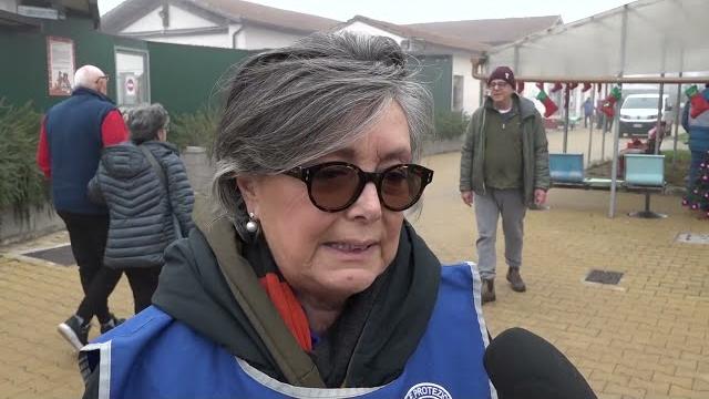 Capodanno, Enpa: "no a botti e fuochi artificiali. E' una scelta di responsabilità" - f5mMv1M8E94