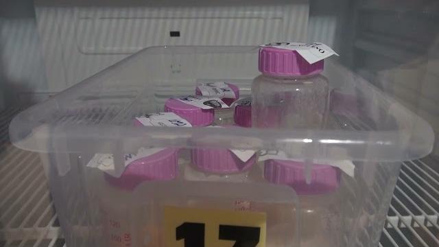 Giornata Mondiale della Prematurità, le iniziative ad Arezzo - gztFOrkOwVE