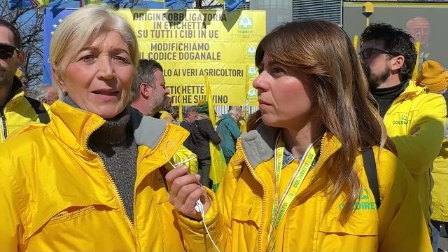 "Più sicurezza nelle tavole degli italiani", anche Coldiretti Arezzo al maxi corteo di Parma - p3dIPkszi8s