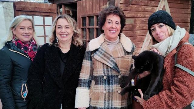 Rifugio Cinni, dal Comune di Arezzo un contributo di 4mila euro - qQub42DHf7U