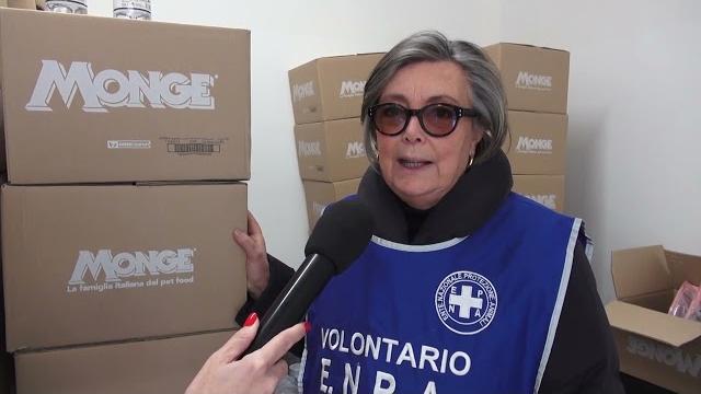 Natale, Enpa: "no agli acquisti, sì alle adozioni consapevoli" - rDPEHsnxNnc