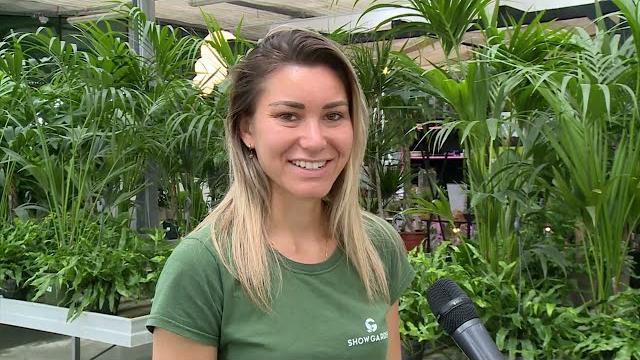 Come curare le piante quando si è in vacanza. I consigli degli esperti - sYzl-TW77d4