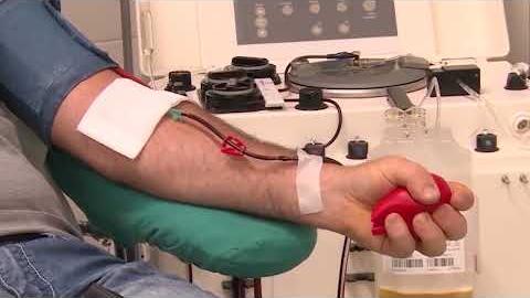 Un appello a donare sangue e plasma anche in estate - ubieaY-O2Co