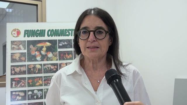 È tempo di funghi, riprende l’attività dell’ispettorato micologico - ueTdGVLugJI