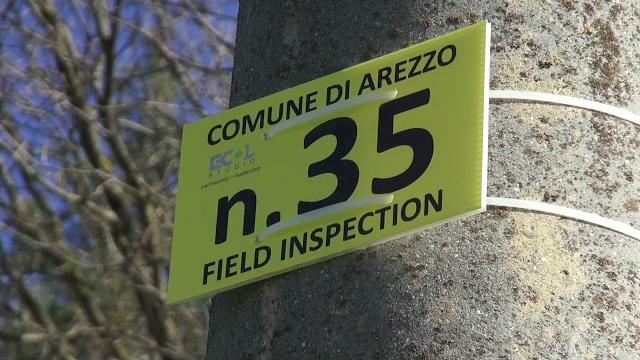 Cattivi odori, prorogato di altri sei mesi lo studio olfattometrico - unlH0RCz9vw