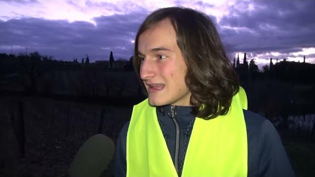 Operazione Bufo Bufo,  ad Arezzo i volontari in strada per salvare i rospi in amore - vMn1h2Z07hA