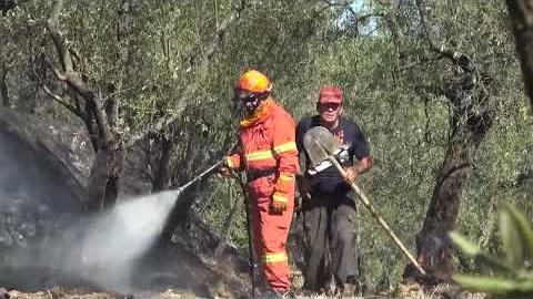 Caldo e rischio incendi, la Toscana proroga il divieto di abbruciamenti - vOqG_desSiM