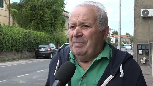 Olive, tra poco parte la raccolta. Il rischio è che rimangano nei campi - FfZagrpauHg