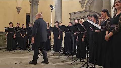 Monte San Savino Festival, il bilancio finale: giovani, musica e una comunità che cresce - u9BfPo12-sM